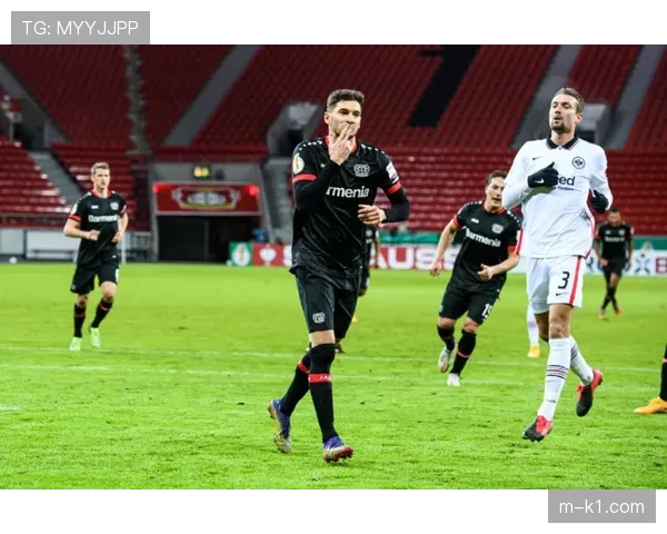 柏林联合新主场建设工程因环保评估延期